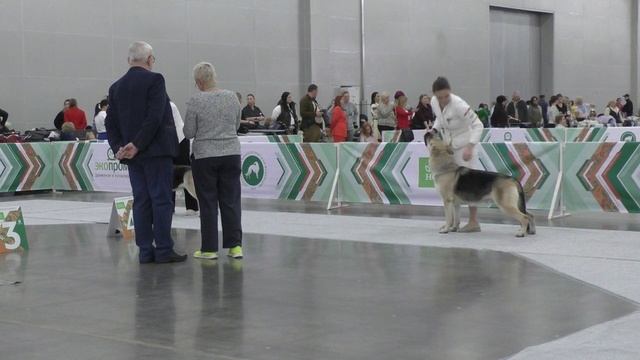 Класс чемпионов смотреть онлайн