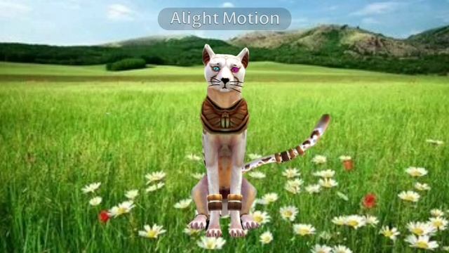 Моя первая анимация Wildcraft! смотреть онлайн