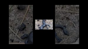 Мой прошлый канал  
,, Конный клуб  КСК Сакура "😭
Давайте наберём столько сколько и было пожалуйста