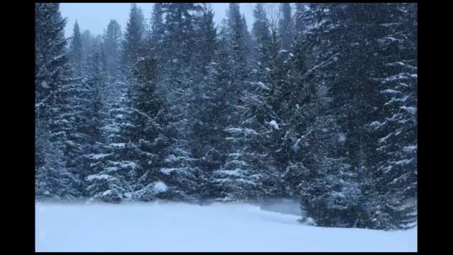 День Сибири