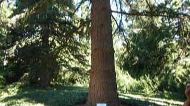 P1010528 смотреть онлайн