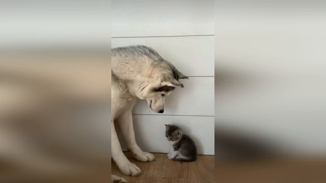 "Бог ли не защитит избранных Своих, вопиющих к Нему день и ночь, хотя и медлит защищать их? смотреть онлайн