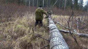 Поздний октябрь. #7