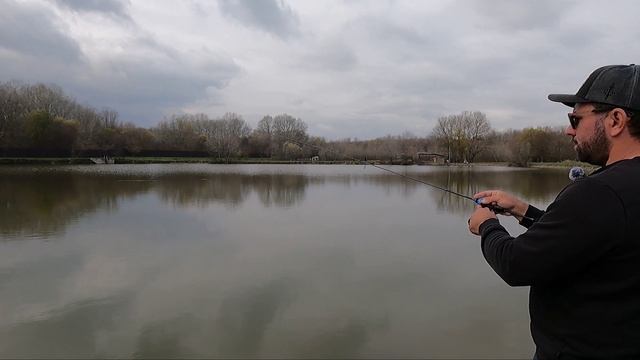 Favorite Black Swan 602 или Gammarus ?