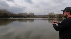 Favorite Black Swan 602 или Gammarus ?