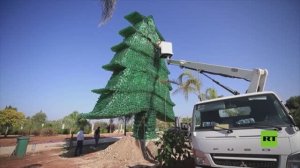 شاهد.. أكبر مجسم لرمز لبنان يرشح لدخول موسوعة غينيس