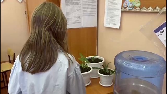 Карманные новости (Выпуск 586)