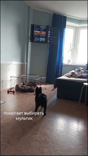 Тот ещё критик смотреть онлайн