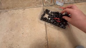 Чёрная вдова съела всю чернику.