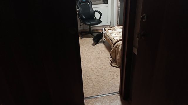 Вечерний забег смотреть онлайн