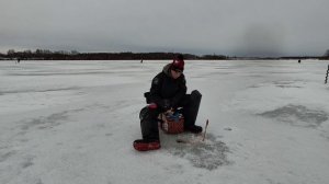 Назаровская мормышка 2025