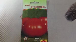 🍅 Томат «Буденовка»: проверенный временем сорт для теплиц и грунта