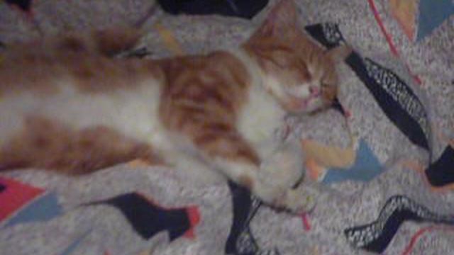 P1010695 смотреть онлайн