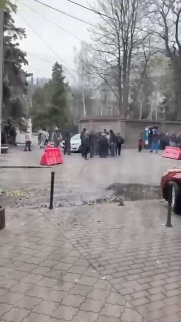 люди в России живут а на видео свиньи смотреть онлайн