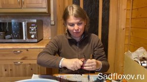 Получила пионы из Америки. Я такого не ожидала!