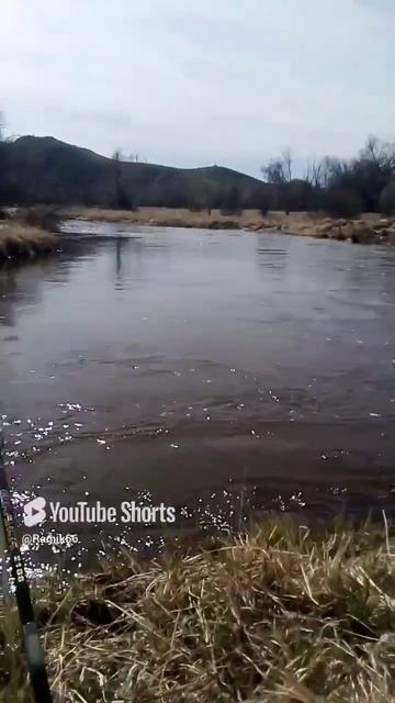 ищем карася 2 года назад