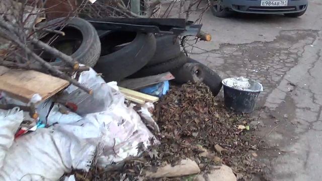 24 ноября 2025 года - осмотр состояния незаконной помойки