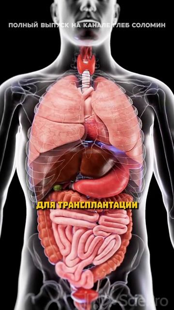 Изьятие органов смотреть онлайн