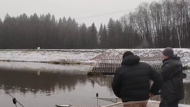 Поимка смотреть онлайн