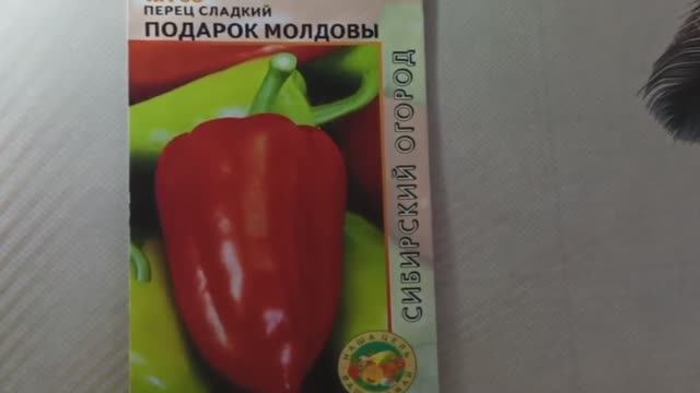 Перец «Подарок Молдовы» — проверенный временем, надежный сорт для любого климата смотреть онлайн