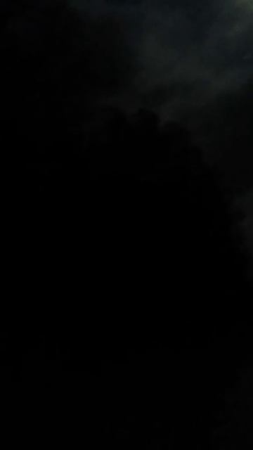 Светлячки с острова Борнео смотреть онлайн