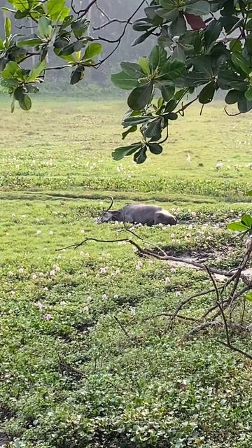 Имидж ничто смотреть онлайн