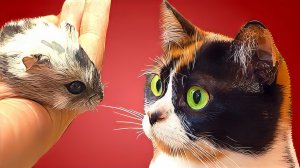 СТЕПА МЕНЯЕТСЯ! у кого такое было?