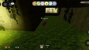как получить новых котиков из обновления /KITTEN GAME Roblox