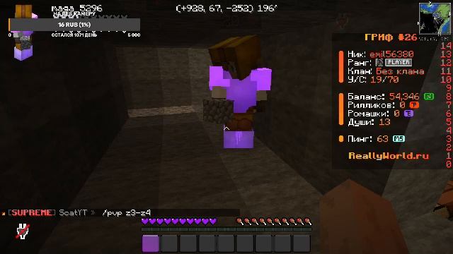 играем в майнкрафт на сервере REALLYWORLD
