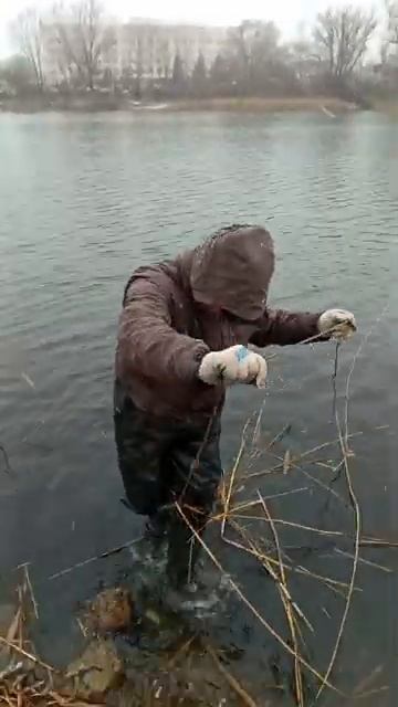 Донная коса [get.gt]