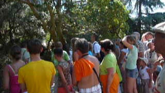 P1010510 смотреть онлайн