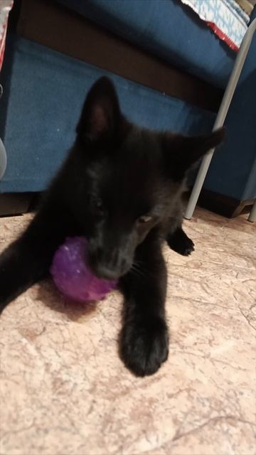 Музыка для соседей смотреть онлайн