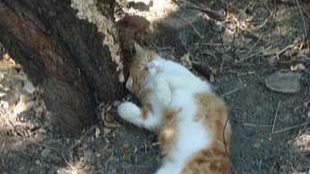 P1010694 смотреть онлайн