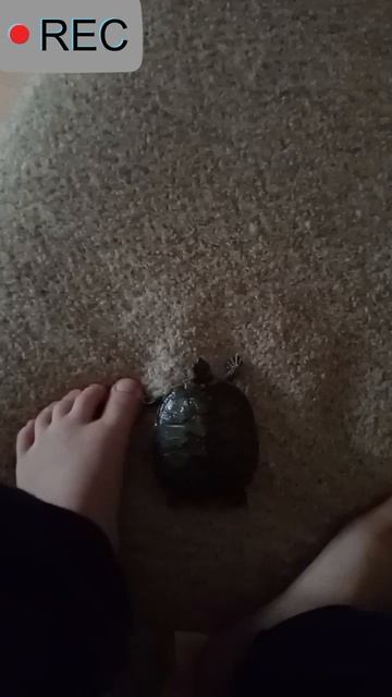 а я создал своё видео со вторым редактором.