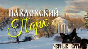 Павловский парк: экскурсия от Дворца до Зеленого лабиринта. Достопримечательности в Павловске
