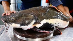 КРАСНОХВОСТЫЙ СОМ Вьетнамская Еда