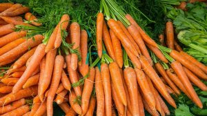 Не отходы, а натуральное лекарство! Чистит сосуды и лечит весь организм! Ботва полезнее моркови!!!