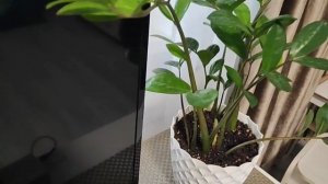 ШОК! НАШЛИ ПРИЧИНУ ПОЧЕМУ Я ЗАДЫХАЛАСЬ ПО НОЧАМ 😱