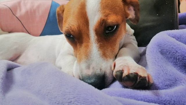 сфоткала пока она спала :﹥﹥﹥ смотреть онлайн