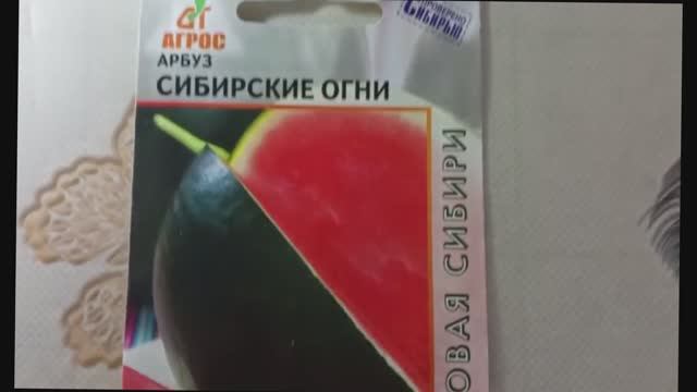 Арбуз «Сибирские огни» — холодостойкий сорт для короткого лета смотреть онлайн