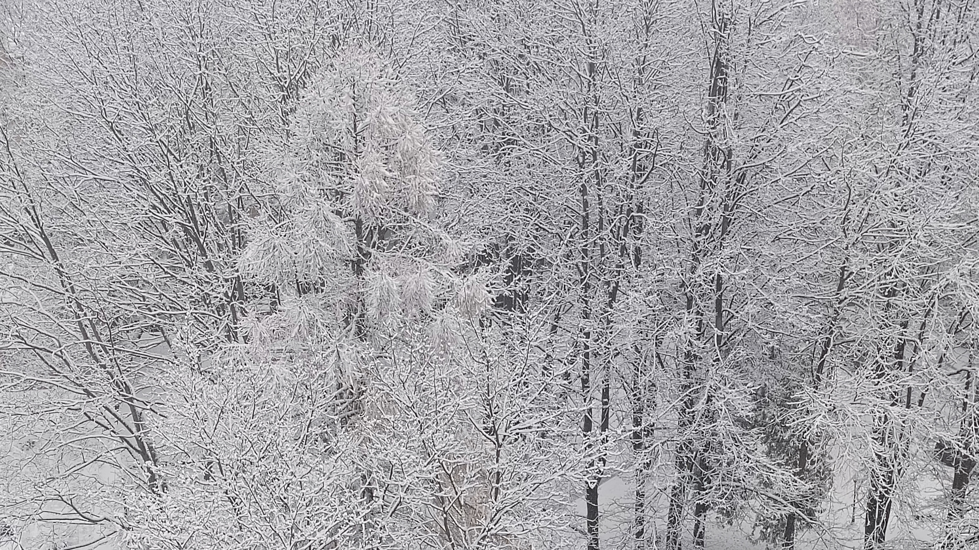 Снежаная Сказка смотреть онлайн