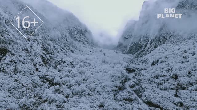 Имиджевый ролик канала Big Planet смотреть онлайн