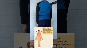 WHIEDA пользоваться активатором клеток и что это такое