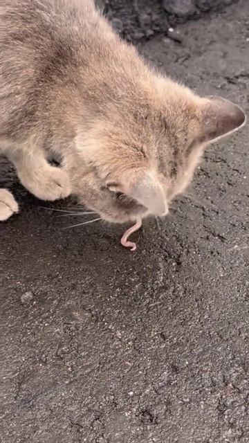 - А что ты здесь делаешь? - Боюсь. - А давай бояться вместе