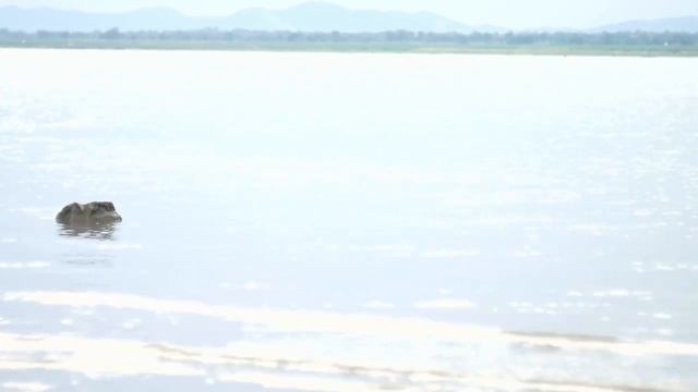 ШУМ БРОНЯ КАВАЧИ от любого влияния порчи А.Дуйко смотреть онлайн