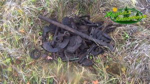 КОП МЕТАЛЛОЛОМА В ДЕРЕВНЕ! РЕЗУЛЬТАТ СКРОМНЫЙ, НО ХОРОШИЕ НАХОДКИ БЫЛИ!