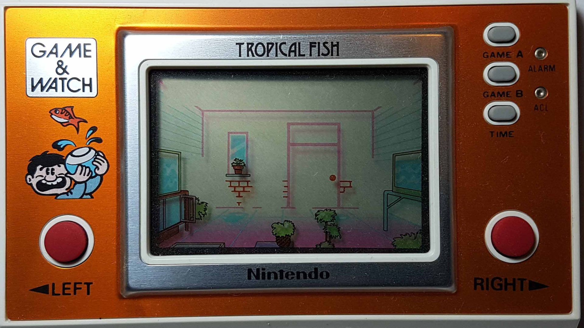 G&W - Tropical Fish