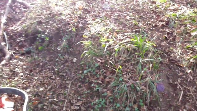 Открытая тренировка Эндуро (2)