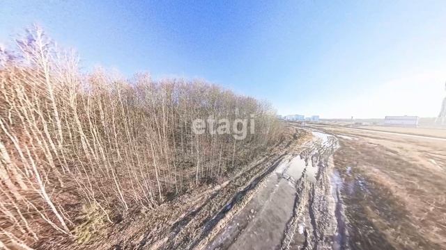 10351668 смотреть онлайн