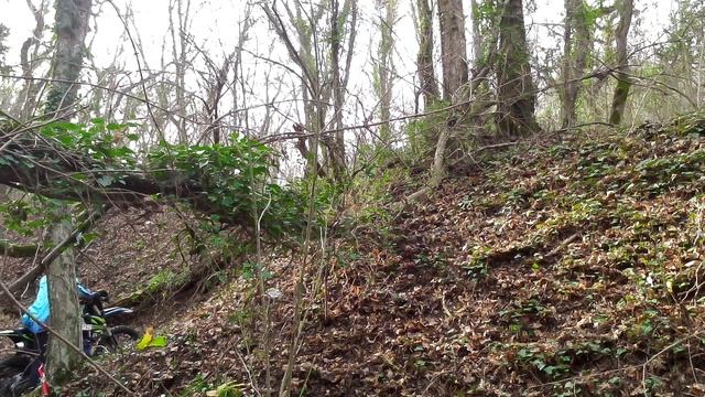 Открытая тренировка Эндуро (1)